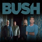 Bush TN.jpg