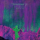 Dinosaur Jr TN.jpg