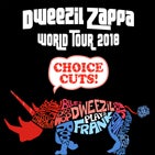 Dweezil Zappa TN.jpg