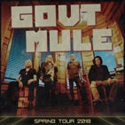 Govt Mule TN.jpg