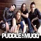 Puddle Of Mudd TN.jpg