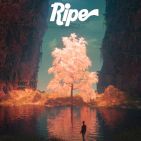 Ripe_JITWU_admat_art (1).jpg
