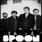 Spoon TN.jpg