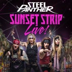 Steel Panther TN.jpg