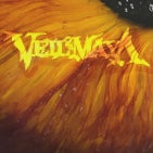 Veil of Maya TN.jpg