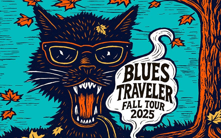 More Info for BLUES TRAVELER