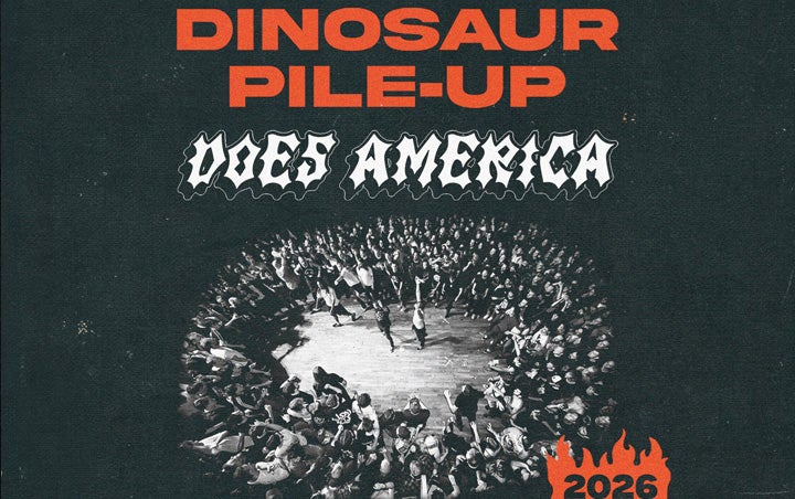 More Info for DINOSAUR PILE-UP