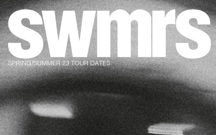 More Info for SWMRS