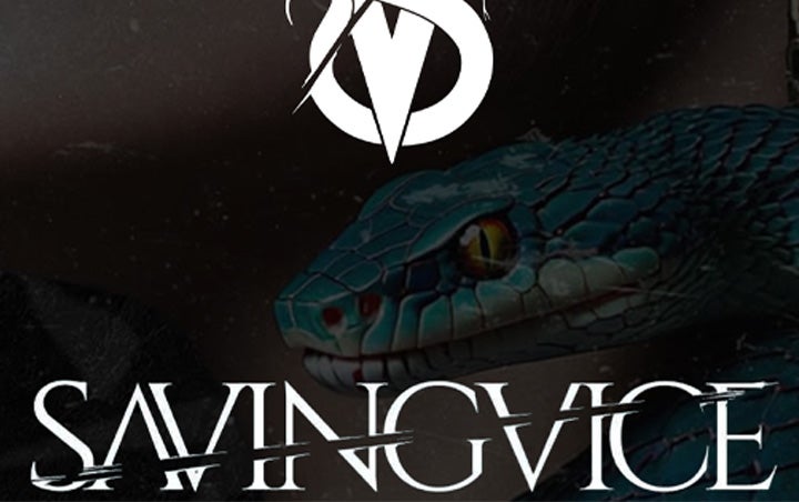 More Info for SAVING VICE