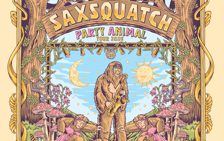 More Info for SAXSQUATCH 
