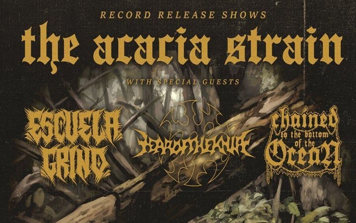 More Info for THE ACACIA STRAIN