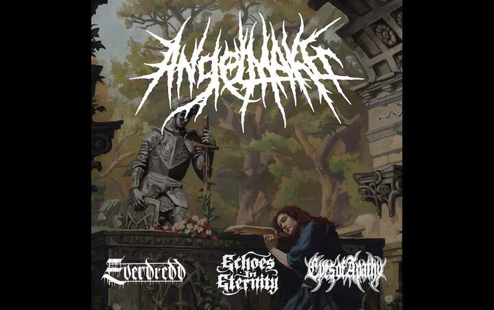 More Info for ANGELMAKER