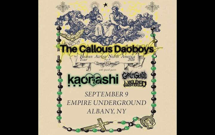 More Info for THE CALLOUS DAOBOYS