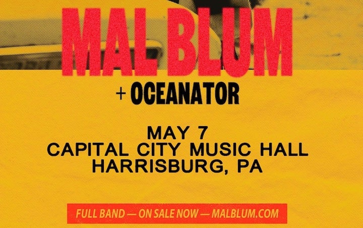 More Info for MAL BLUM
