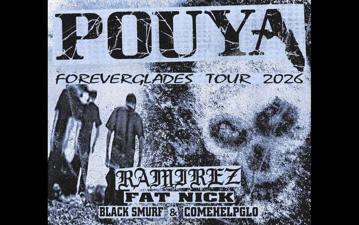 More Info for POUYA