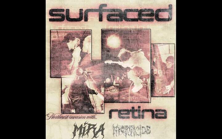 More Info for SURFACED