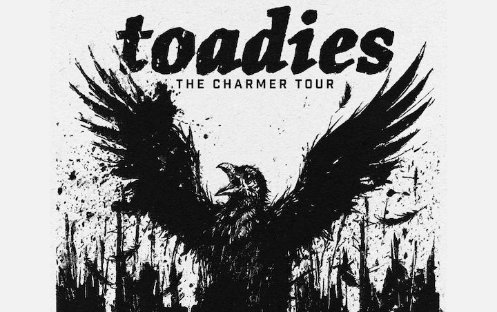 More Info for TOADIES